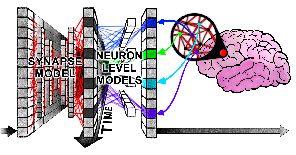 Continuous Thought Machines